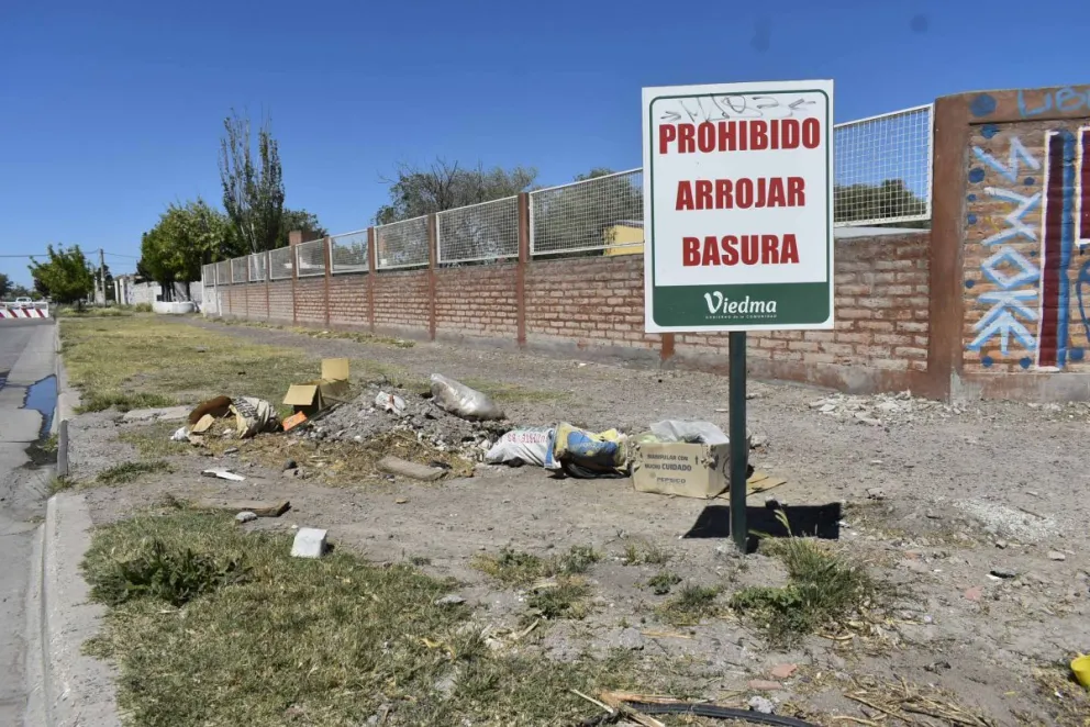 El municipio tuvo que romper un "chanchito" de $ 50 millones para erradicarlos