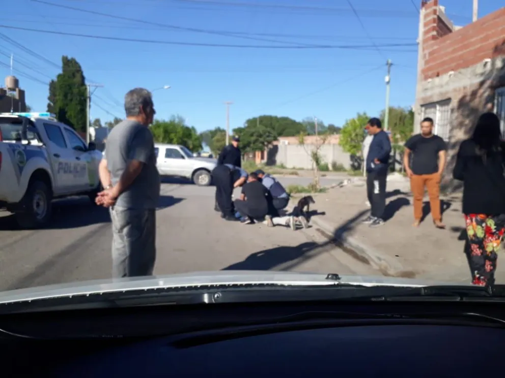 Vecinos atraparon a un delincuente: las autoridades del colegio N° 141 piden seguridad