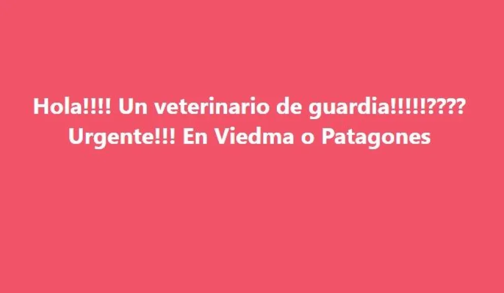 Se reaviva el debate por la falta de guardias veterinarias en la Comarca