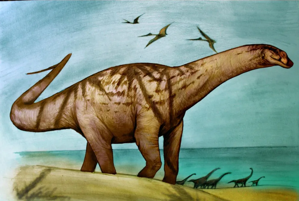 Descubrieron una nueva especie de dinosaurio: vivió en Río Negro hace más de 70 millones de años
