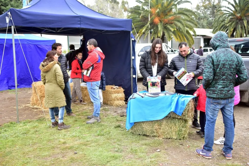 Este fin de semana se vivirá a pleno en la rural con la Expo Caballos Criollos de la Comarca