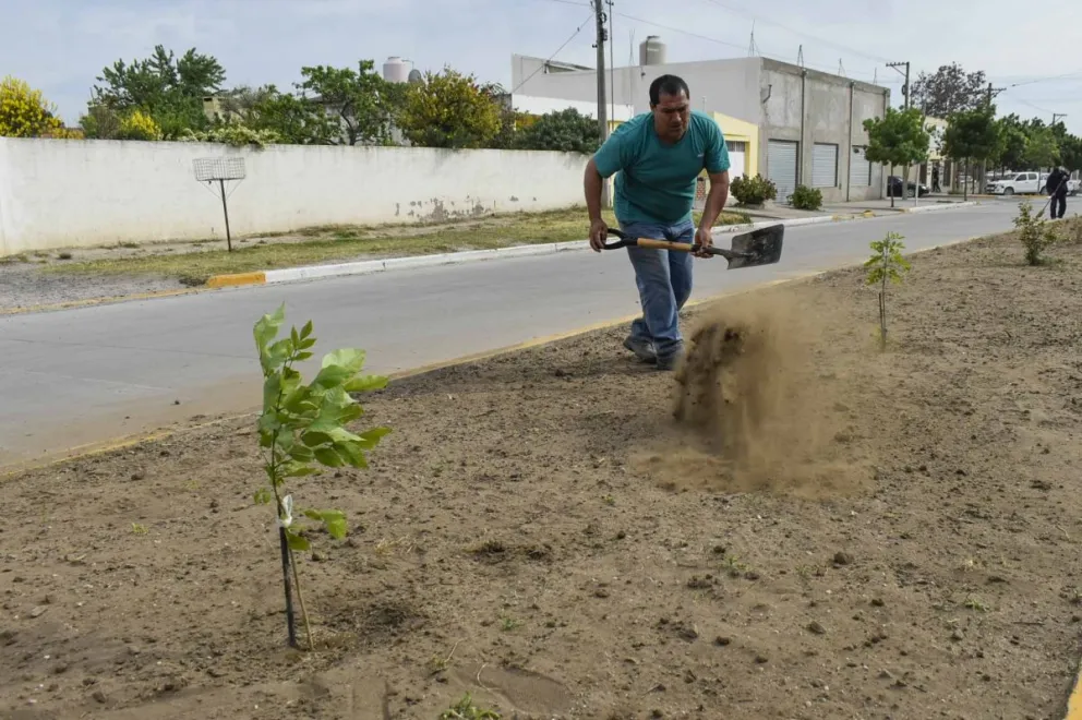 Como sigue el clima en Viedma y Patagones en el curso del día