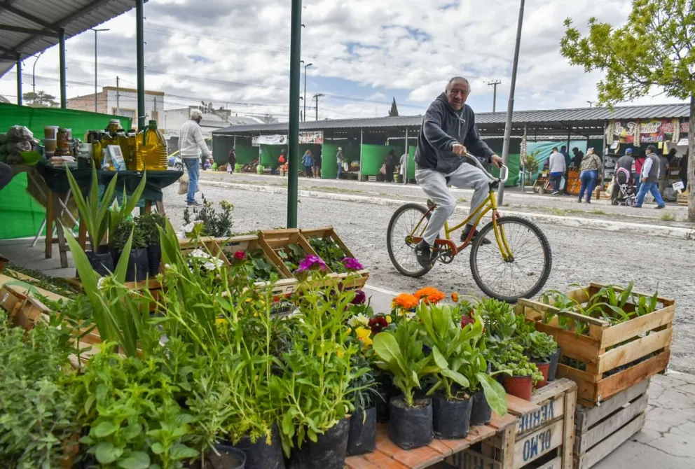 Esta semana y la próxima la feria será una gran opción para las compras. 