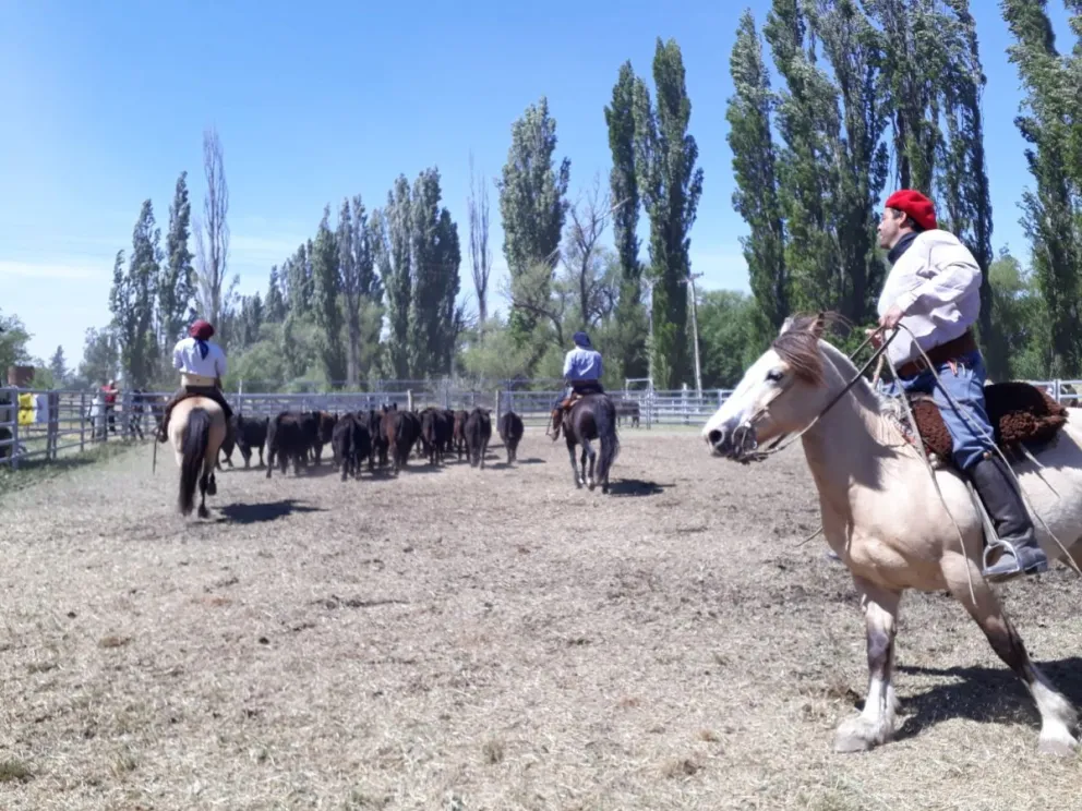 “Un verdadero éxito”, así fue  la 2da Expo de Caballos de la Comarca