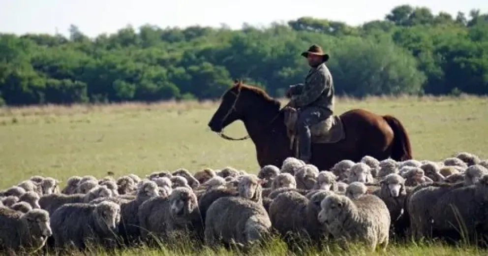 Oportunidad laboral: se busca capataz de campo
