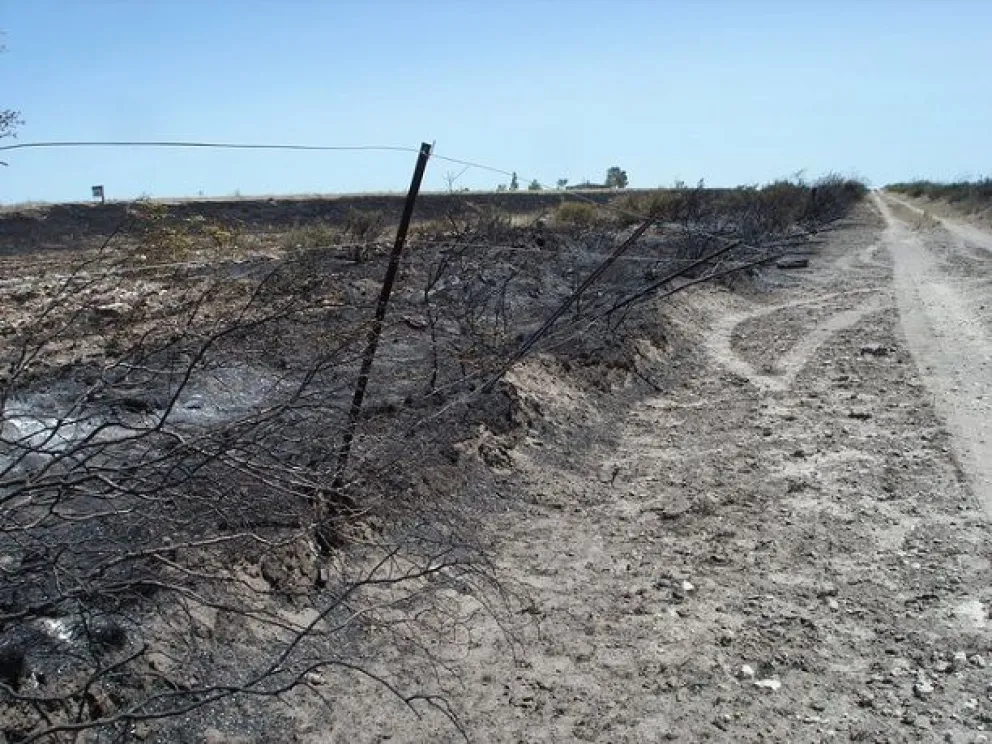 Falta de combustible afecta gravemente a la región, con impactos en la agricultura y el comercio