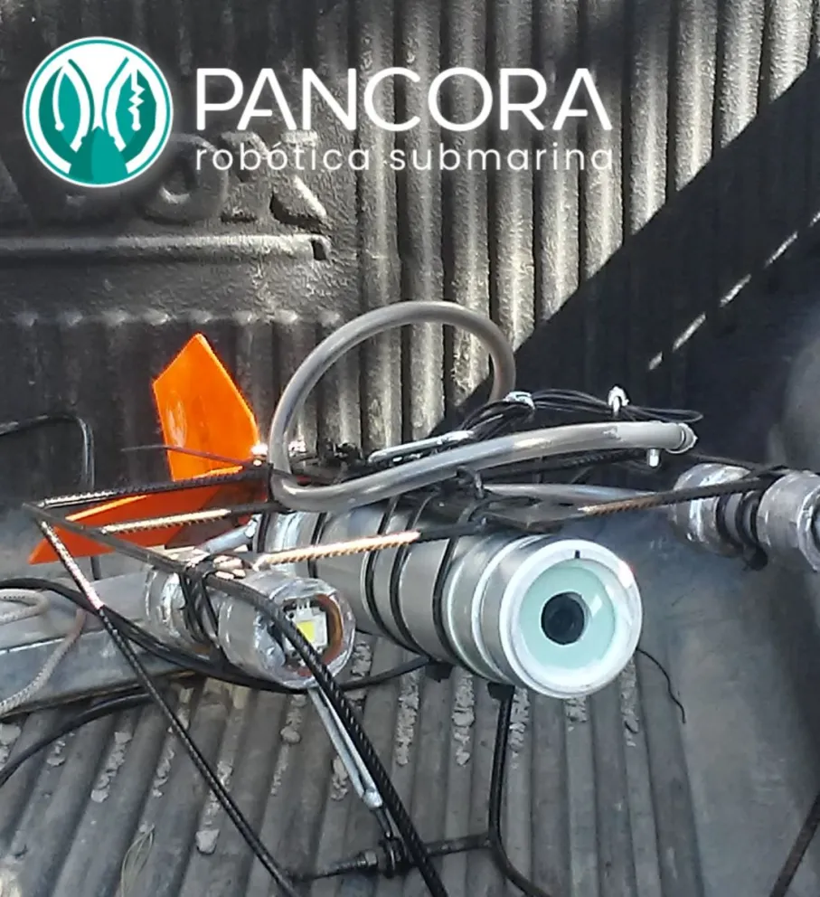 “Emprendedores de Río Negro 2021” ya tiene sus ganadores