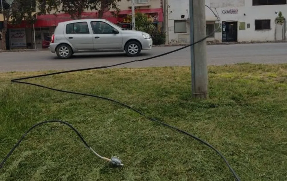 Peligroso cable permanece caído en un transitado paseo de Viedma