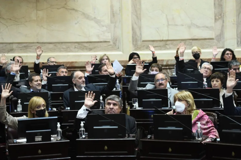 Con polémica por la RAM, el Senado dio luz verde a la Ley de Emergencia de Tierras Indígenas