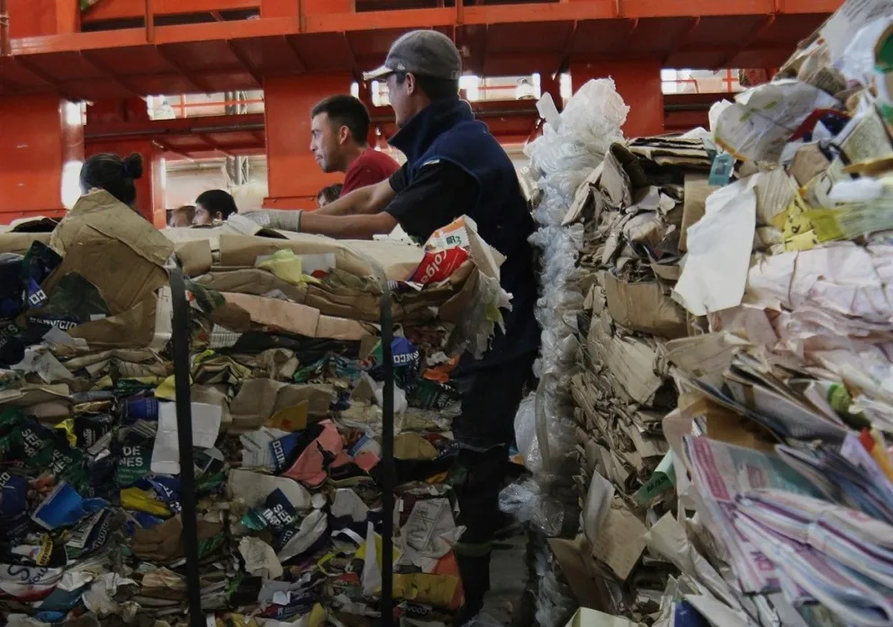 Se reciclaron más de 25 mil kilos de cartón 