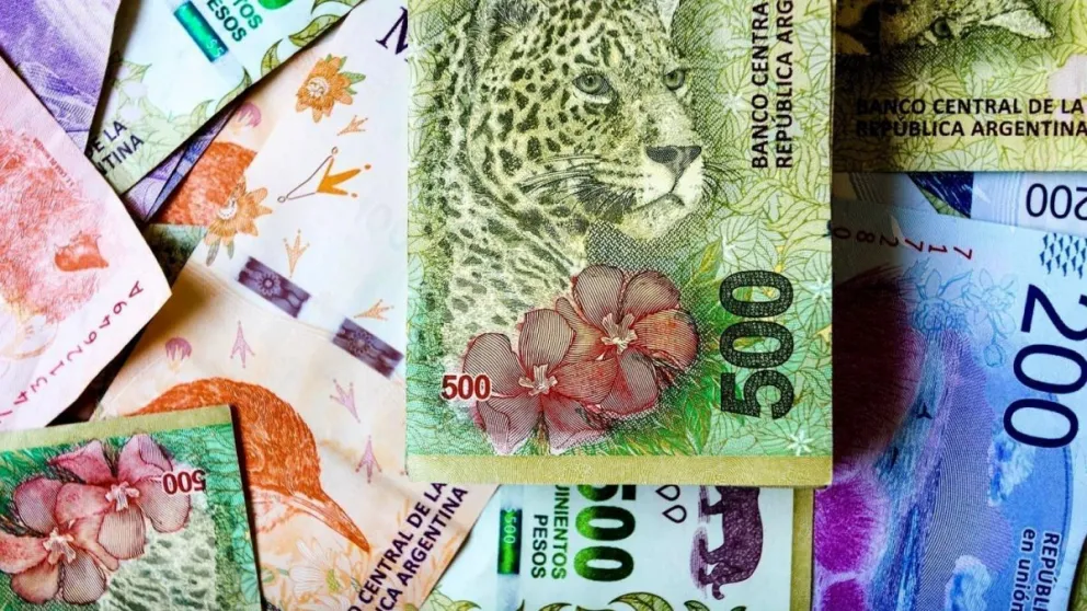 Anses: cuáles son los bonos y beneficios que se acreditan en noviembre