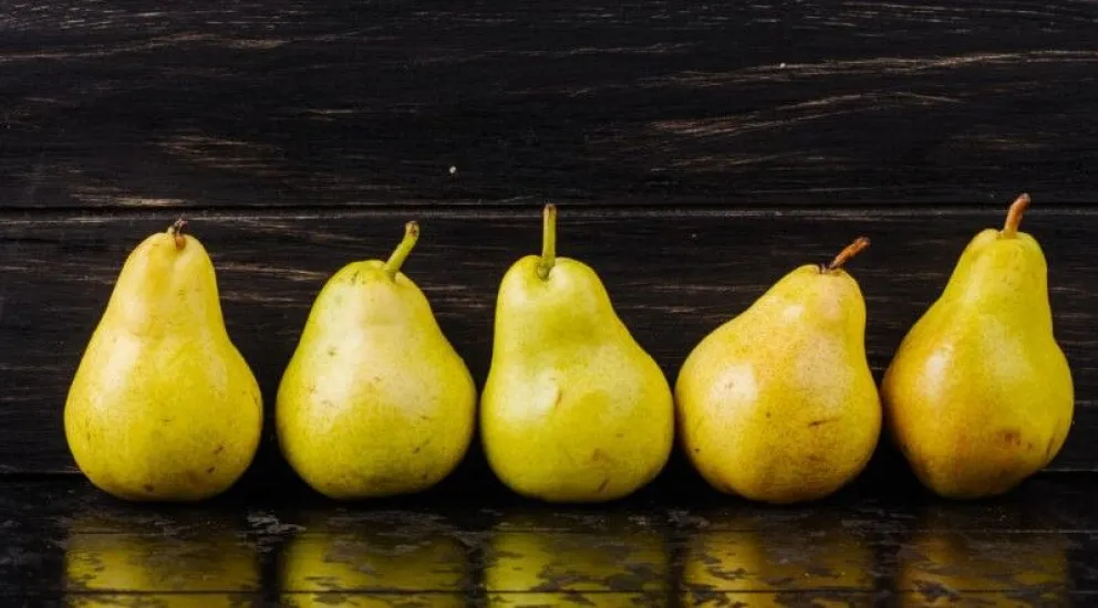 Buscan nuevos mercados para la fruta rionegrina