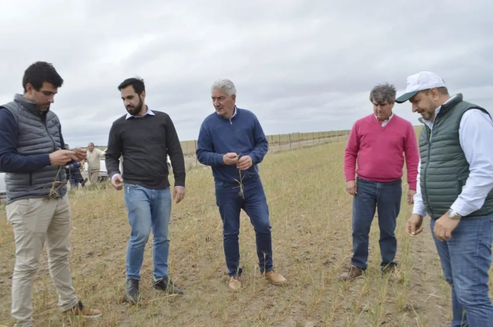 Al igual que en el 2009, “una sequía que agobia al sector”, afirmó Zara