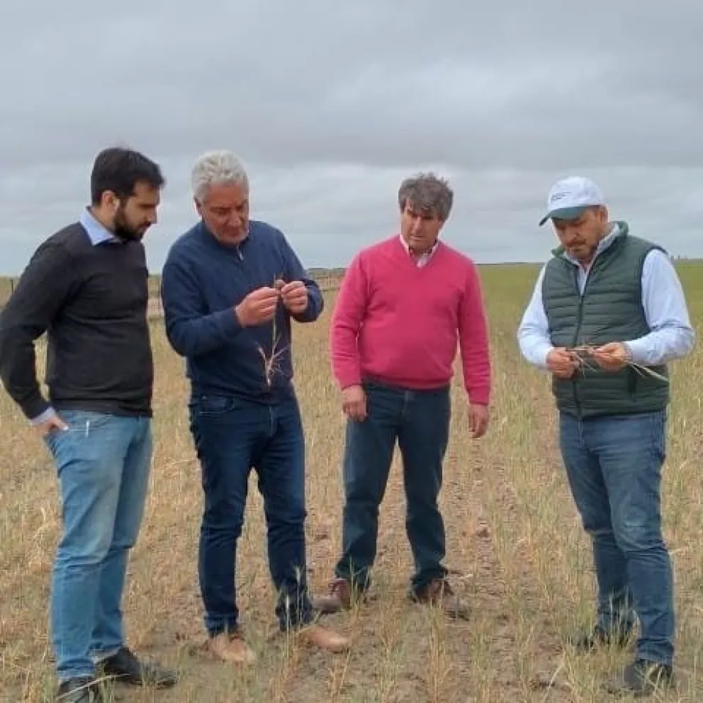 “La solución concreta es la declaración de Emergencia Agropecuaria”, según Solmi