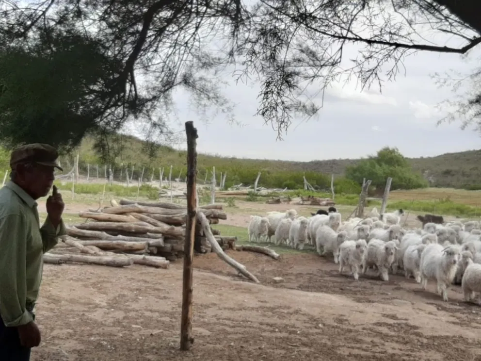En la región sur sacan desesperadamente las tazas por la ventana para ver si llueve