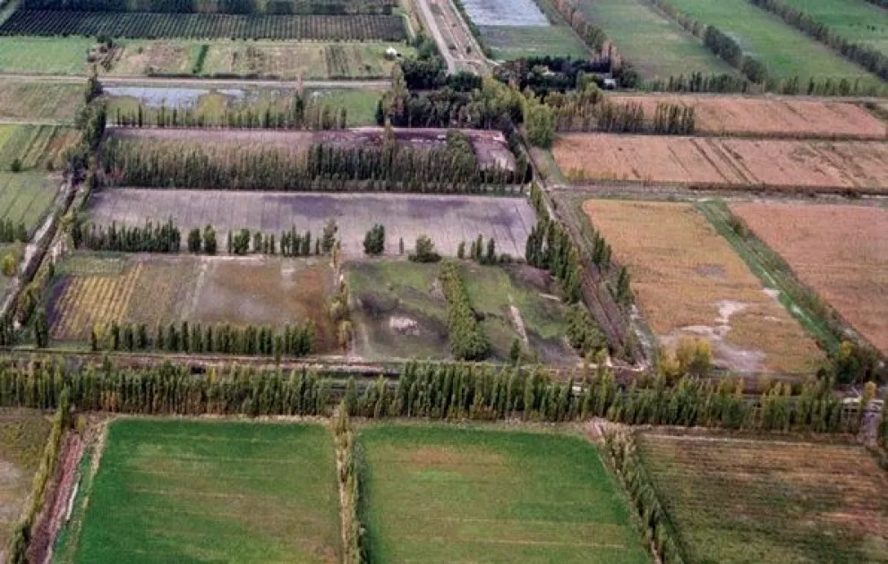 Se inició un monitoreo en la zona en conjunto con productores y técnicos.