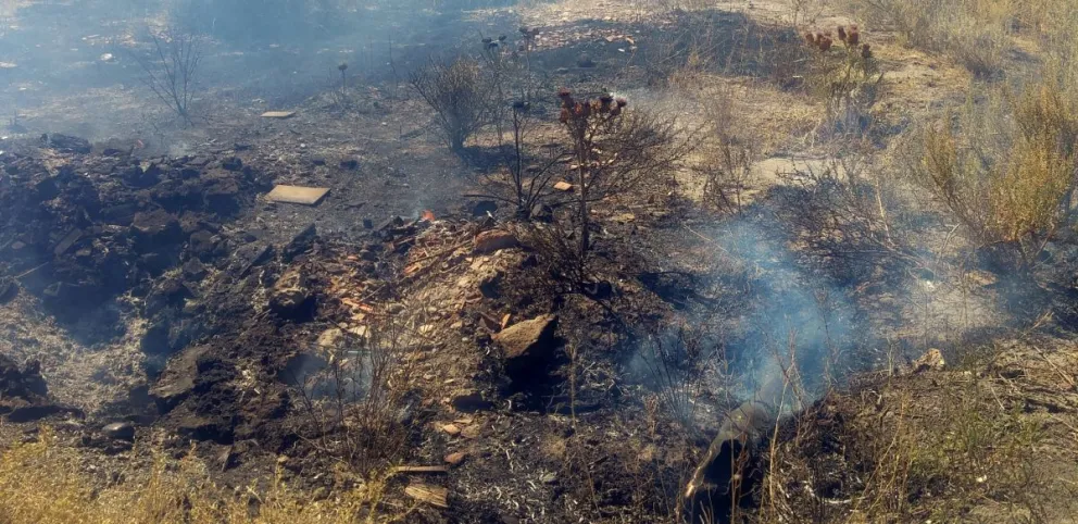 Al mediodía y con casi 40 grados: una quema de pastizales fue rápidamente sofocada 