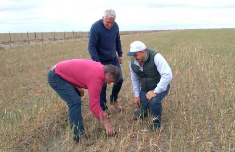 Se firmó en Stroeder el convenio por un fondo rotatorio de 50 millones de pesos