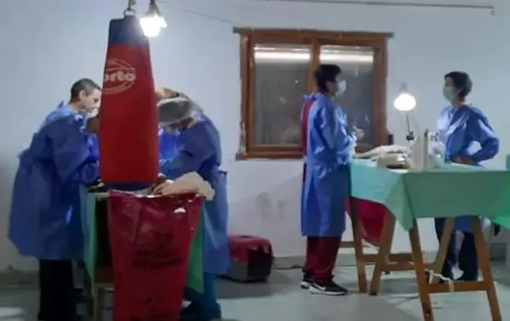 Continúan las campañas de esterilización de mascotas en barrios de Viedma