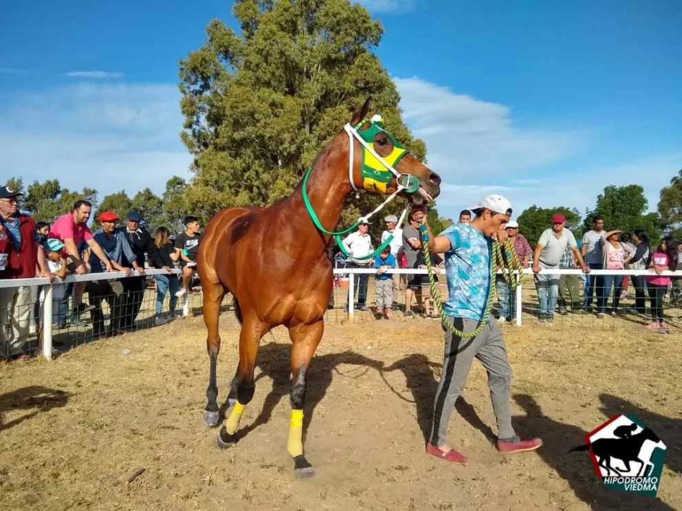 Se vivió una fiesta familiar en el Hipódromo de Viedma