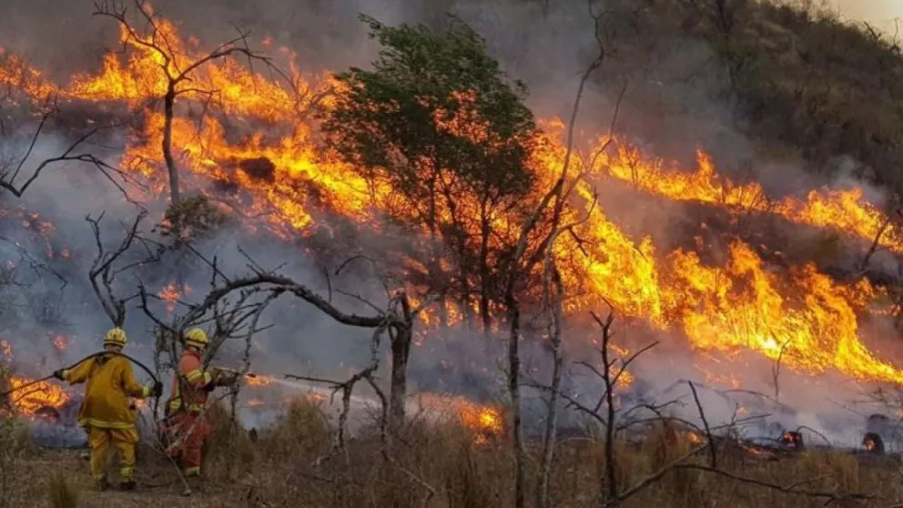 Bomberos Voluntarios advierten que este verano habrá incendios forestales complejos