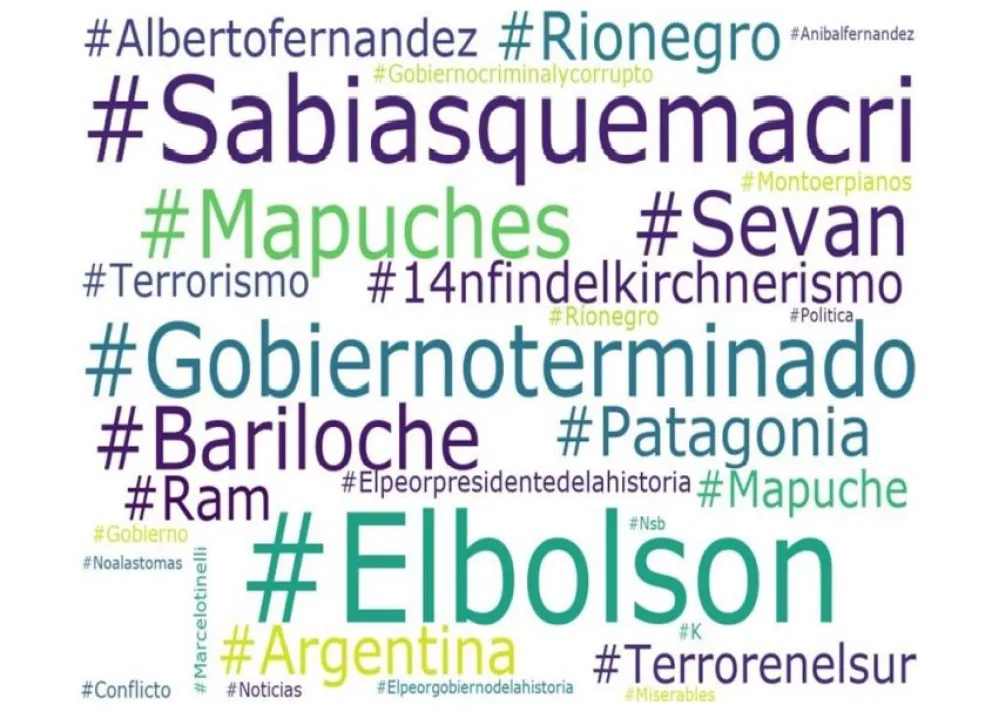 El conflicto mapuche en las redes