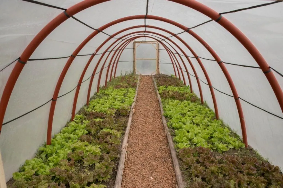 “Invernaderos, miles de oportunidades”, un proyecto que avanza en toda la provincia