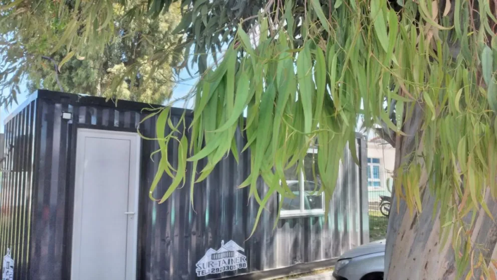 Realizarán hisopados el 24 y el 31 de diciembre