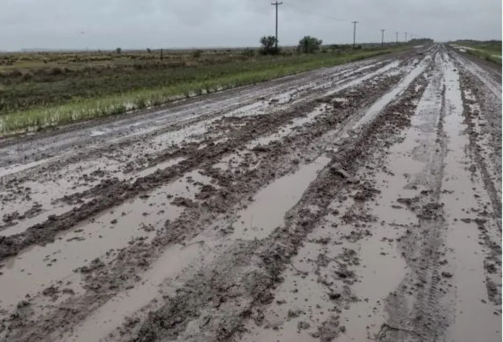 Lluvia y anegamientos: Cayeron más de 50 milímetros en las últimas 24 horas