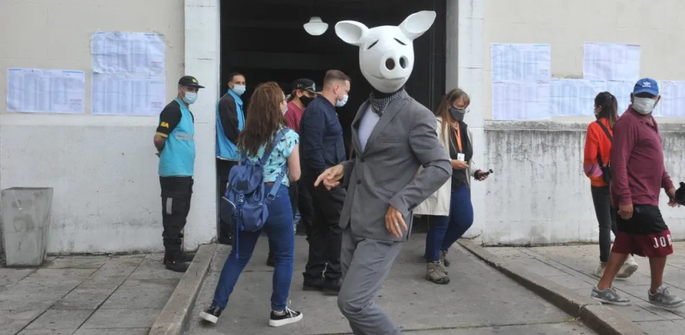 Arrancaron las perlitas: un chancho blanco y el furcio de Vidal