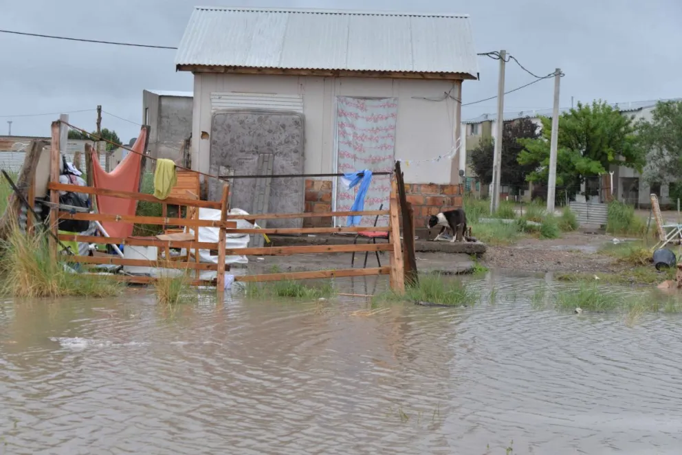 ¿Cuál sería el rol de un trabajador social frente a un hipotético desastre natural? 