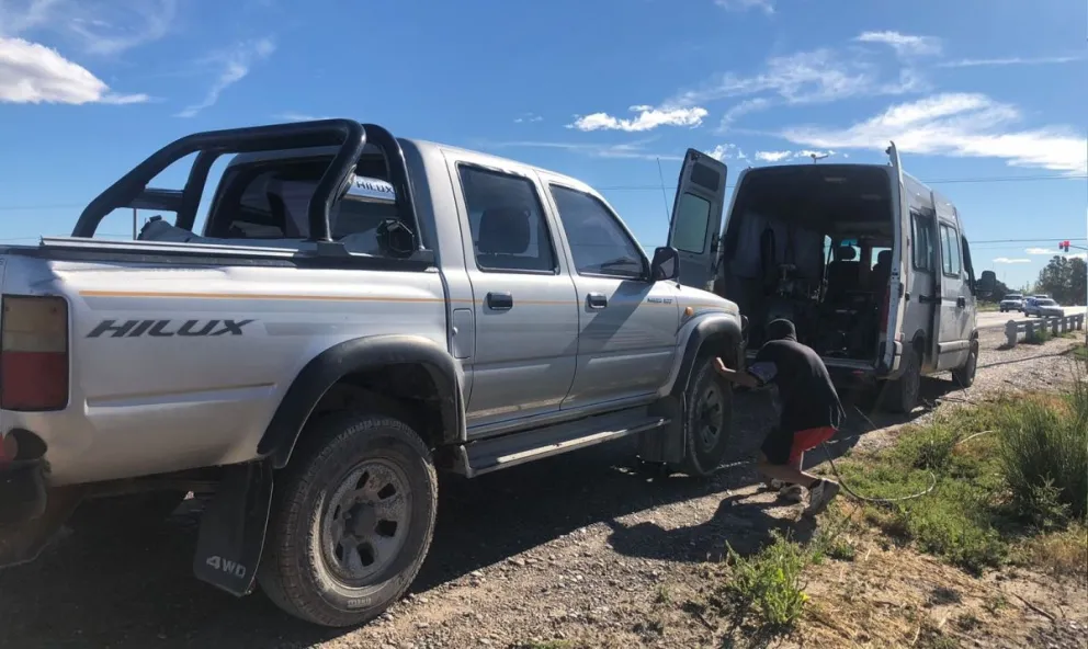 Viedma: Fue a votar y los perros le destrozaron las gomas de su camioneta