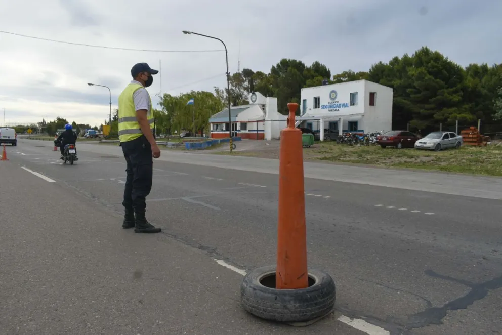 Una de piratas: Un camión quiso pasar un novillo que estaba flojo de papeles