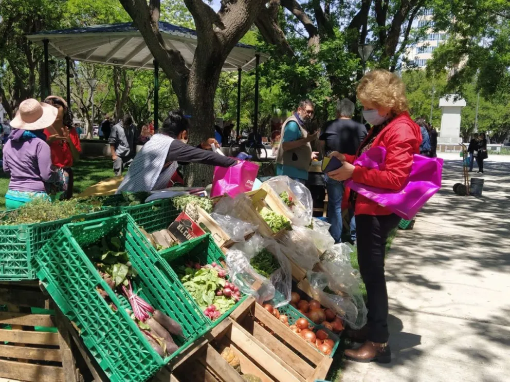 La agroecología sigue siendo un éxito, y en forma de feria, se muestra en el centro