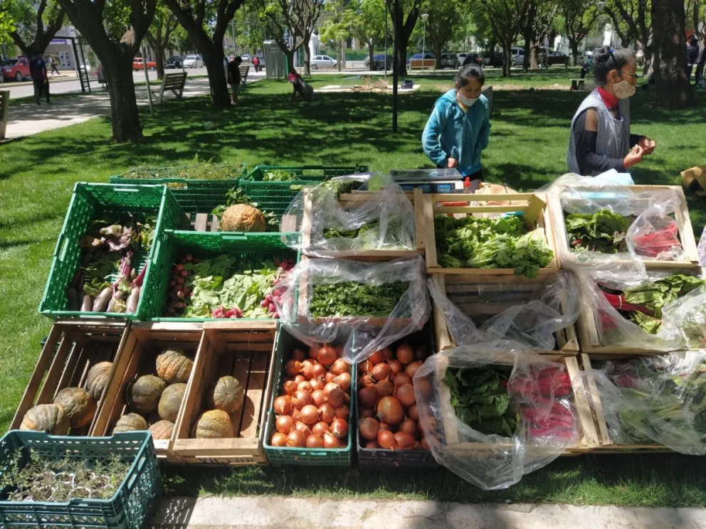 Se realiza hoy una nueva edición de la Feria Agroecológica 