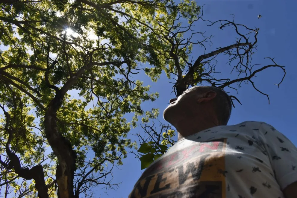 Incidentes con ovnis: Sin filtro, develan los misterios en la costa atlántica