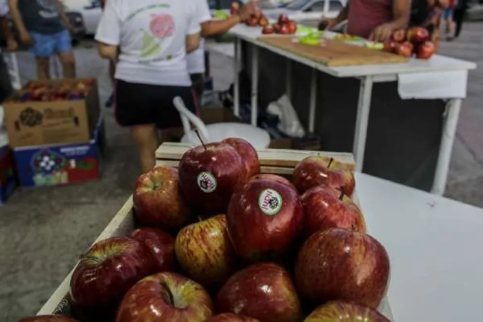 Por medio del Municipio, productores de fruta proveerán de mercadería a los comedores escolares
