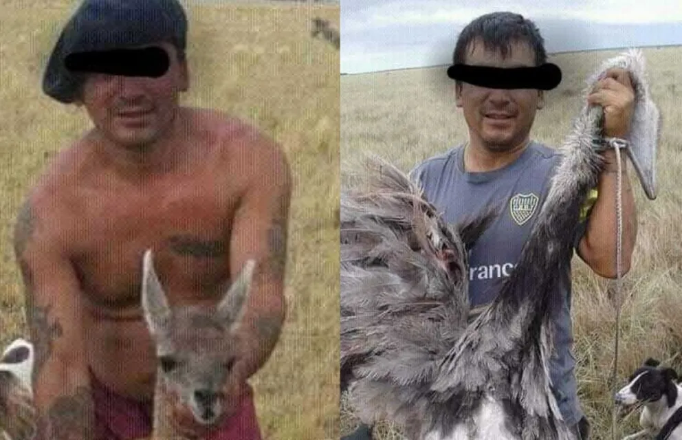 Persiste la caza de ñandúes y guanacos pese a la prohibición