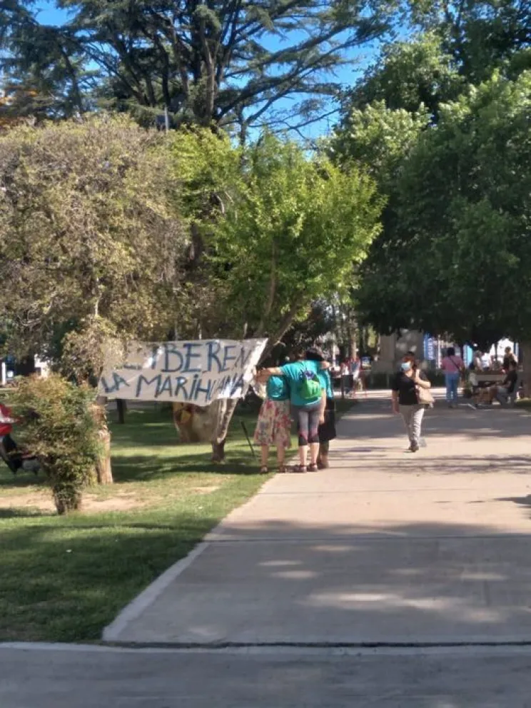 "No más presos por cultivar": En Viedma marcharon a favor de la marihuana