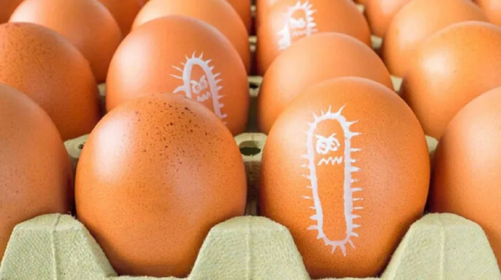 Temor por un brote de Salmonella en menores: cuáles son los síntomas y cómo se previene 