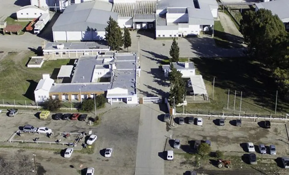 Pequeña fuga de gas provocó molestias a empleados y fue controlada por bomberos