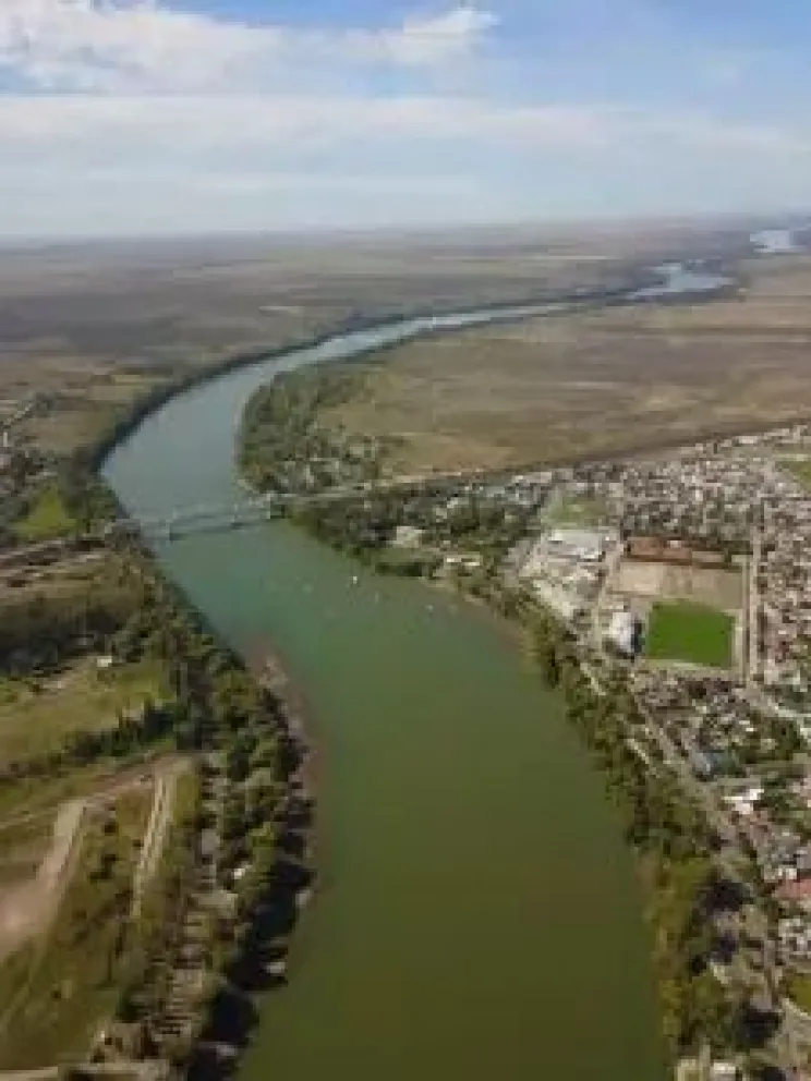Conflicto por la quita de árboles en Costanera Norte: “La planta de potabilización sólo es factible en ese sitio”