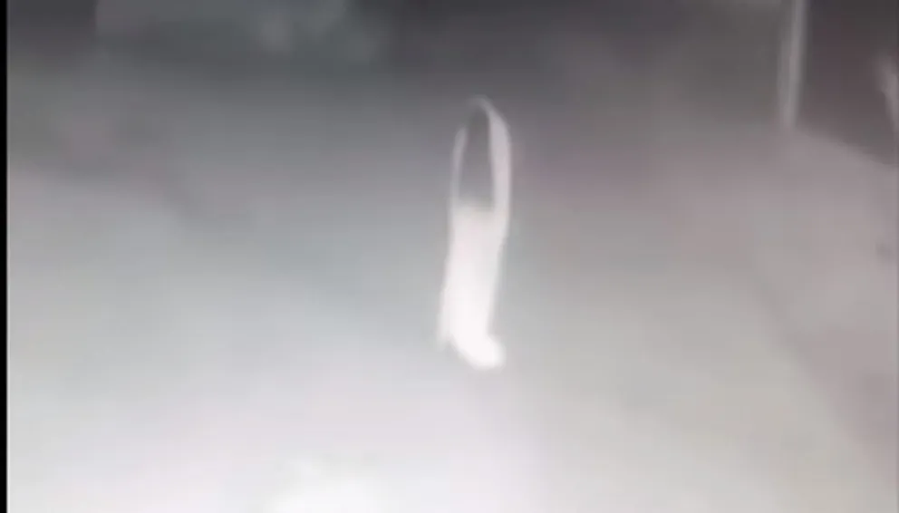 Increíble video: Un camionero asegura que vio a "La Llorona" en plena ruta