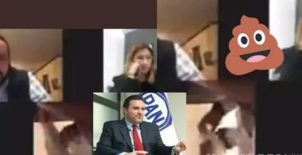 Videollamada insólita:  un diputado se llevó el celular al baño y se vio "todo" en plena sesión
