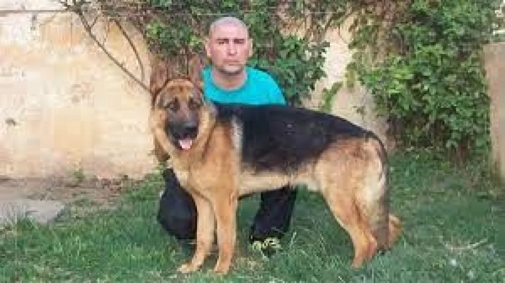 Caso Marcos Herrero: la familia comenzó una campaña para recaudar 450 mil pesos 