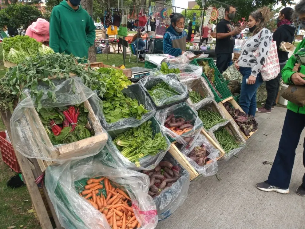  Otra edición de la feria agroecológica en la plaza Alsina con escenario cargado