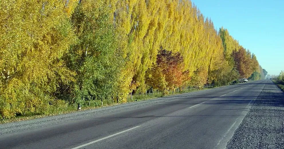 Una nena de 10 años murió electrocutada en una chacra