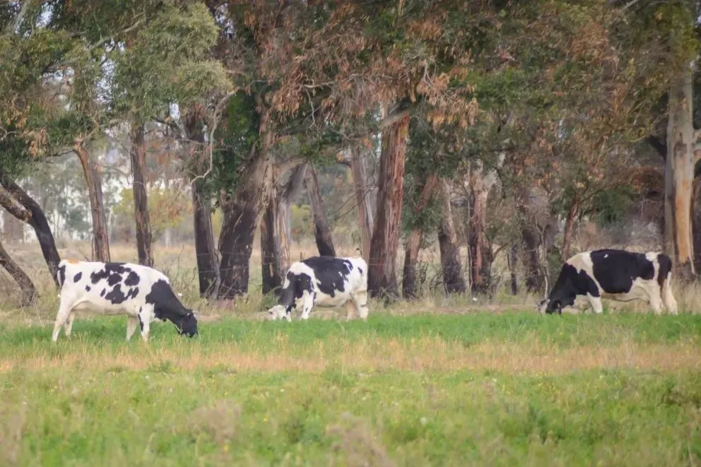 Piden al Municipio que no intervenga  las tierras de la escuela Spegazzini