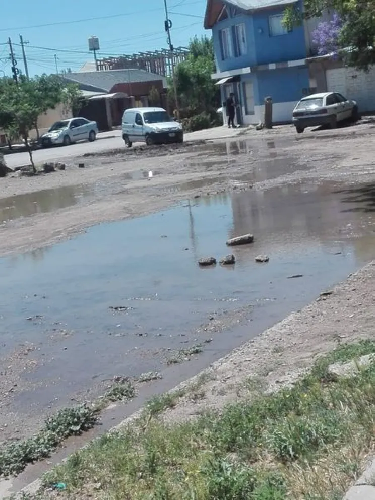 Un problema sin solución: el fastidio de los vecinos por una importante pérdida de agua