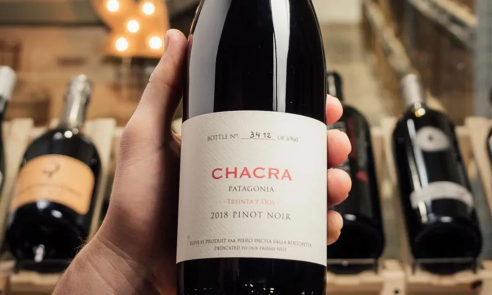 Cómo es el “Camino del Vino” rionegrino